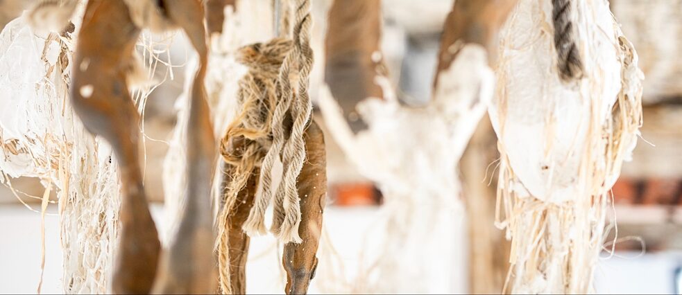 A refusal to be contained, a refusal to die (2021)