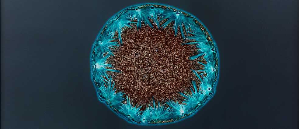 Sarah Schönfeld, All You Can Feel/ Planets, Ketamine, 2013, Ketamin auf Fotonegativ, vergrößert als C-Print, 70 x 70 cm 