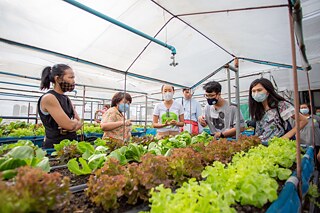 Veerawan Katanyuvivad, Betreiberin der Baanrim Rooftop Farm, gibt Einblicke in die Biolandwirtschaft