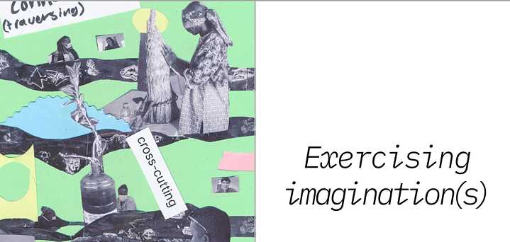 Exercising Imaginations