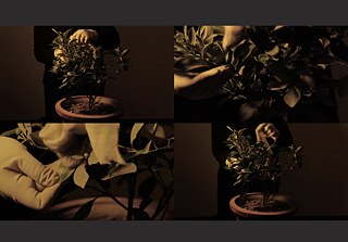 Cleansing by Vibha Galhotra. Courtesy of the artist