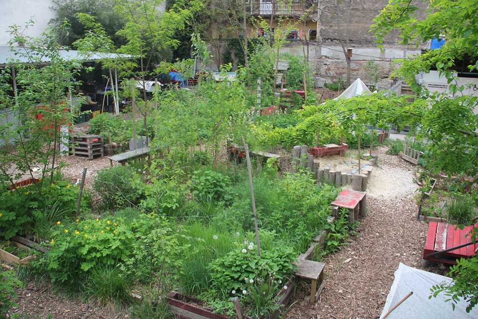 Auróra Klimagarten