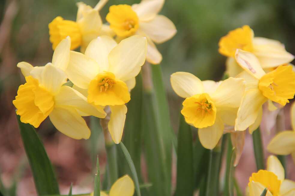 Biodiversität im Auróra Klimagarten