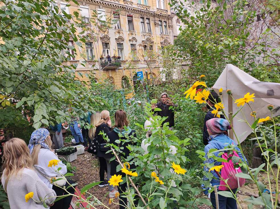 Workshops im Auróra Klimagarten