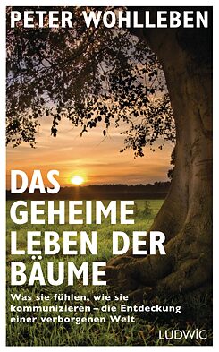 Das geheime Leben der Bäume - Hauptseite, deutsche Version