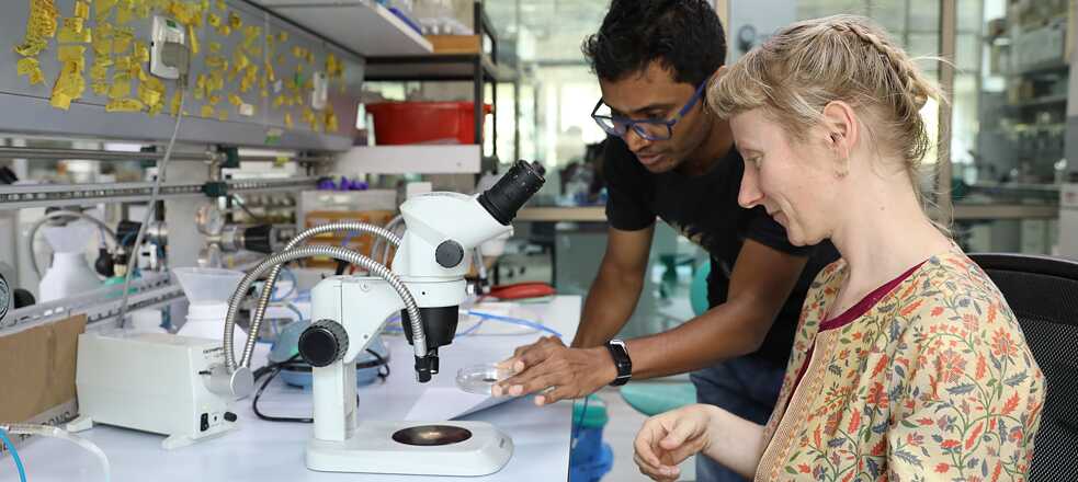 At NCBS, Line Krom worked with microscopes and dust.