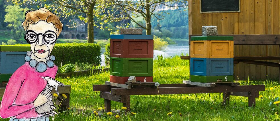 Nonna Trude osserva le api