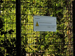 Srinivas H_Lichtenberg 2 © © Srinivas Harivanam Srinivas Harivanam_2