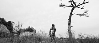 Grüße aus Fukushima