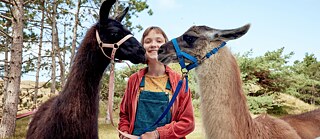 My life as Lotta - Okey dokey Alpaca