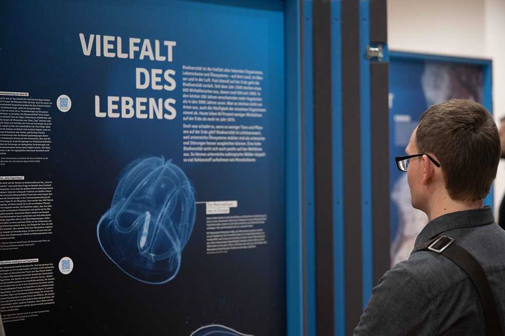 UMI - Ausstellung