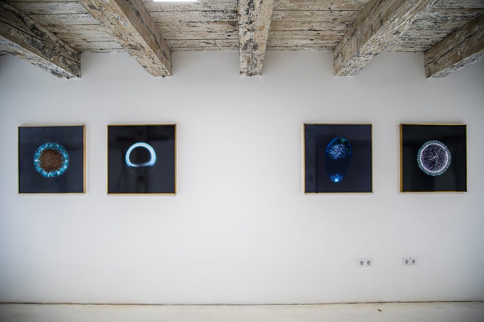 Vier Arbeiten aus der Serie "All You Can Feel" (2013) von Sarah Schönfeld hängen im aqb 2021 nebeneinander.