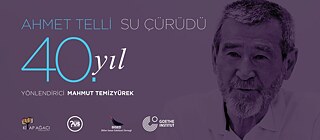 Ahmet Telli / Su Çürüdü