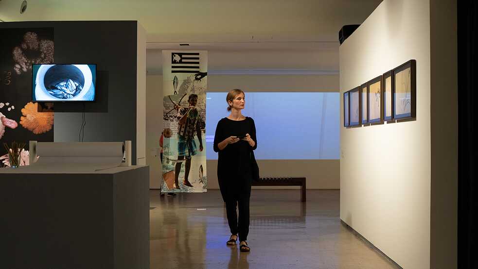 Critical Zones - Opening 1