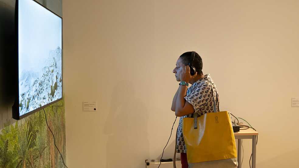 Critical Zones - Opening 11