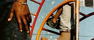 Behzad Karim Khani: Hund, Wolf, Schakal