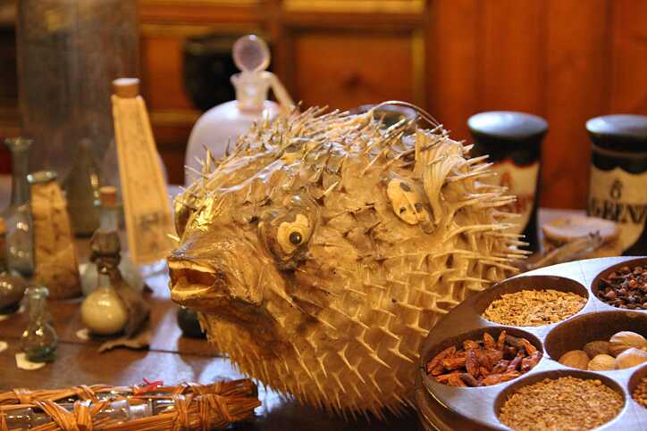 Das Deutsche Apotheken-Museum im Heidelberger Schloss