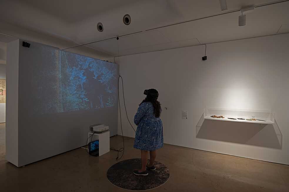 Critical Zones - 19