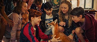 Die Schule der magischen Tiere