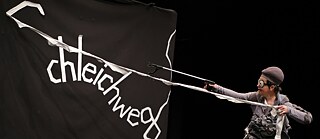 Schleichweg / Webbanner