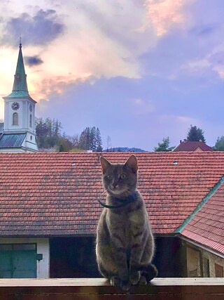 Blick aus dem Fenster 3