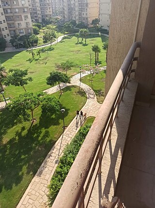 Hallo Dieses Bild ist vom Morgen aus der Hauptstadt Ägyptens, Kairo, und dort sind die Menschen in ihrer vollen Aktivität und am Morgen sind sie auf den Straßen, damit die Hunde auf den Straßen laufen können, und die Stadt Kairo ist von allen Seiten sicher , und es wird sauber vom Müll gehalten, der in den Straßen entsorgt wird, und es gibt große Grünflächen und viele Bäume, und dass die Stadt Kairo 10 Millionen Menschen beherbergt und es eine schöne Stadt ist und es den Nil gibt, den längster Fluss der Welt Ich möchte Ihnen raten, nach Ägypten zu kommen und ihn zu besuchen