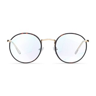 Ich kann nicht ohne den Schlüssel, mein Handy und meine Brille auskommen.