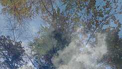 Nah am Wasser 1_Bhavani 