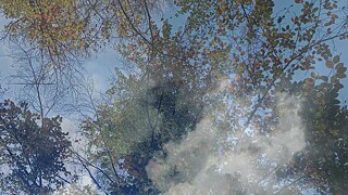 Nah am Wasser 1_Bhavani  © © Bhavani GS Nah am Wasser 1_Bhavani 