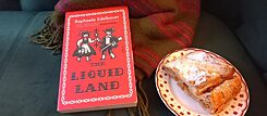 Bucheinband: The Liquid Land