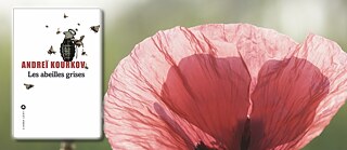Andreï Kourkov « Les abeilles grises »