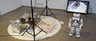 Mai 2021, während der Covid-19-Pandemie nahm der Roboter NaoMi an der gemeinsamen Künstlerresidenz des Goethe-Instituts Riga und des New Media Culture RIXC teil. In Zusammenarbeit mit der Künstlerin Laima Graždanoviča und dem Programmierer Jurģis Peters lernte der Roboter NaoMi Kücken auszubrüten. 