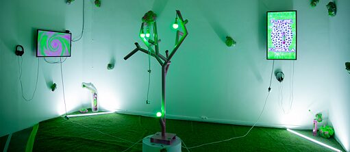 Entangled Intimacies Ausstellung Finissage