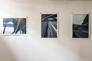 Studies of Automobility