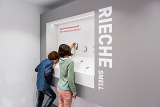 DIALOGMUSEUM GmbH – Museum, das Sinne macht.