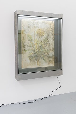 Vincent Scheers, Aquarell „Incubator Studies 1"