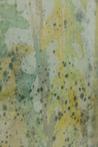 Vincent Scheers, Aquarell „Incubator Studies 2"