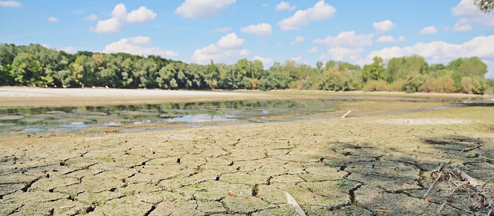 Braço do Rio Reno raso devido à seca