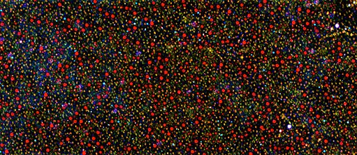 There Must Be Some Kind Of Way Out Of Here, dir. sixpackfilms | Still (2,3x1) 