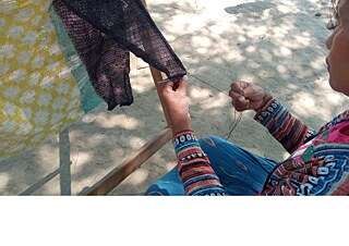 The Colours of the Woodland