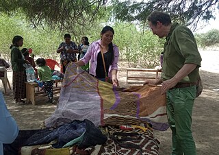 The Colours of the Woodland