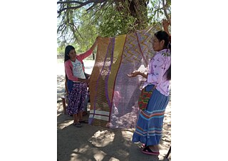 The Colours of the Woodland