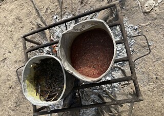 The Colours of the Woodland