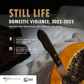 Still Life - Domestic Violence 2022-2023