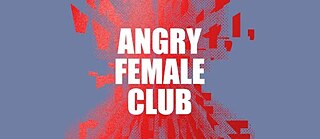 Die Wut die bleibt bookcover