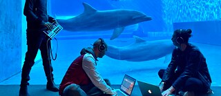 Atlas of Mediterranean Liquidity: Interaktive Karten rund um das Kulturgut Wasser | © Silvia Badalotti