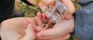 Γνωριμία με τους σπόρους 