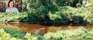 Environment announced the Fall