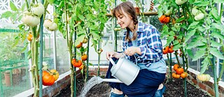 Goethe-Treff für Studierende (Juni 2023)