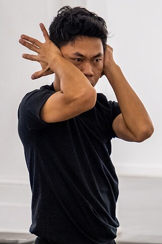 close-up of ancient forests (AT) | Freisleben